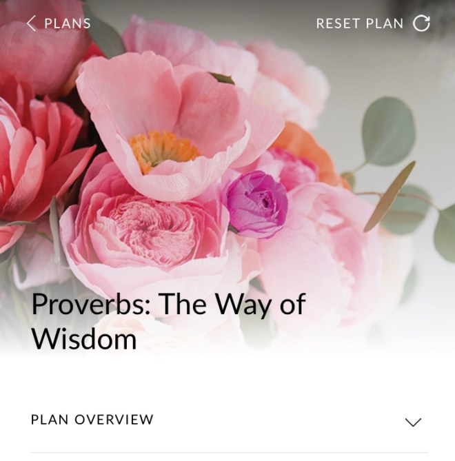 2398E1EB-11D3-41D5-8154-7708B783BEE8