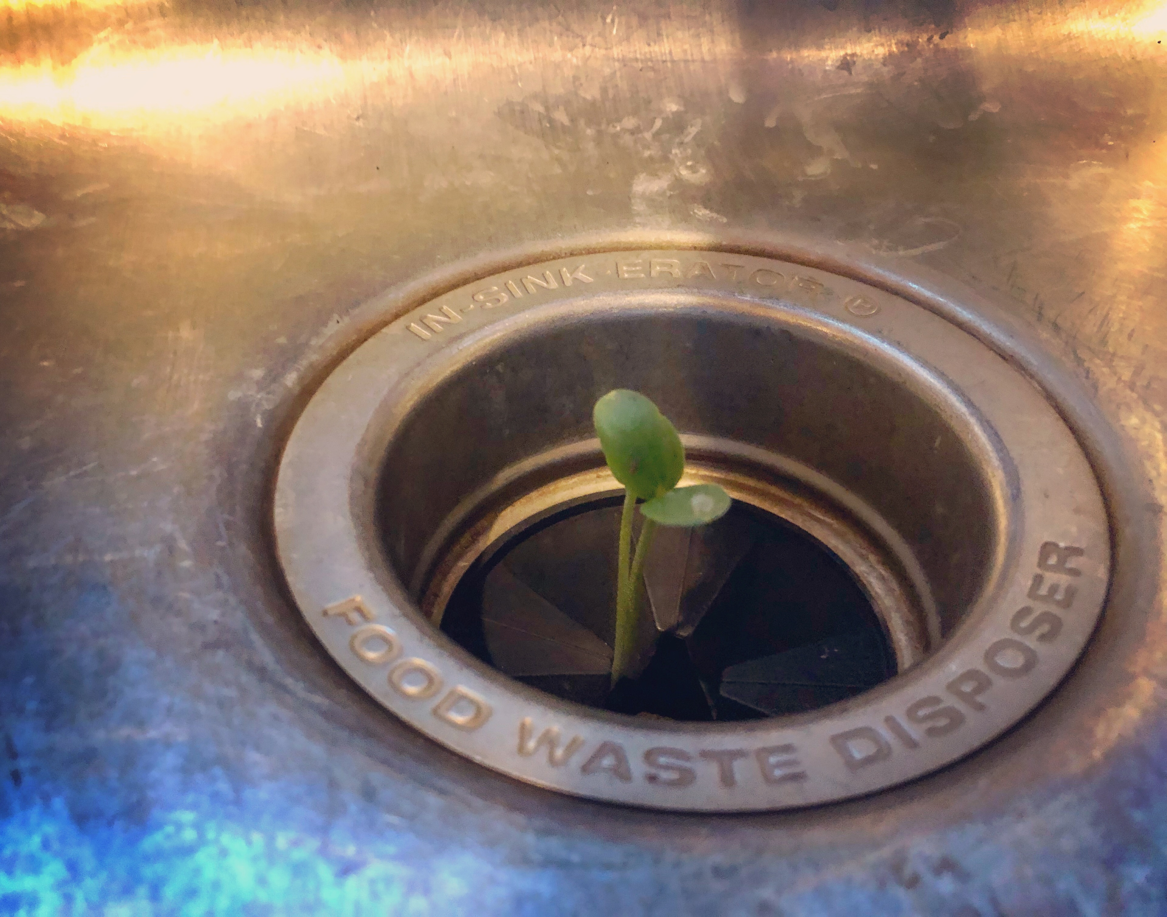 7622C277-ECB9-40E5-958B-6E4D7FFE3D14